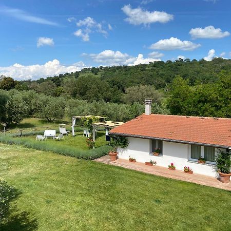 Tenuta Le Mandorlaie, Agriturismo In Scansano Kültér fotó