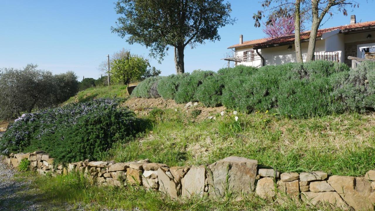Tenuta Le Mandorlaie, Agriturismo In Scansano Kültér fotó
