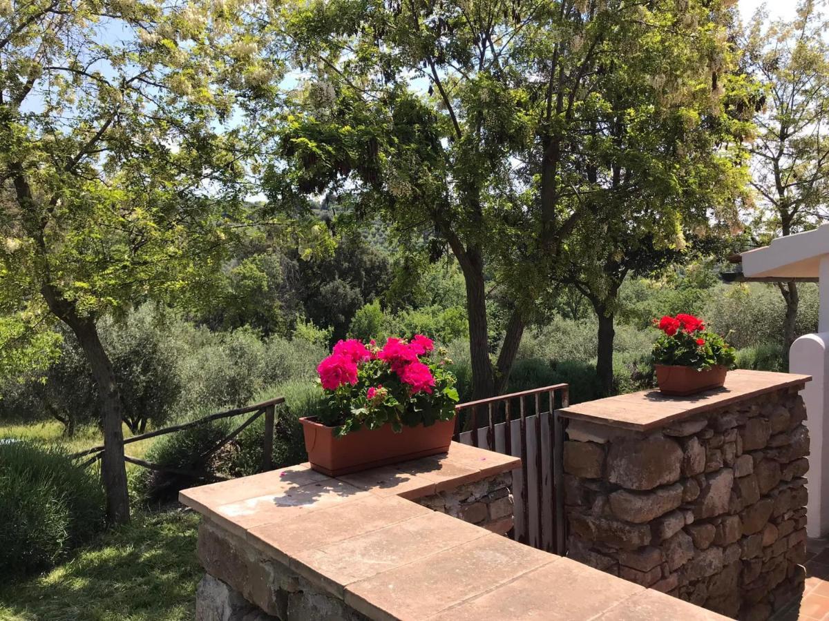 Tenuta Le Mandorlaie, Agriturismo In Scansano Kültér fotó