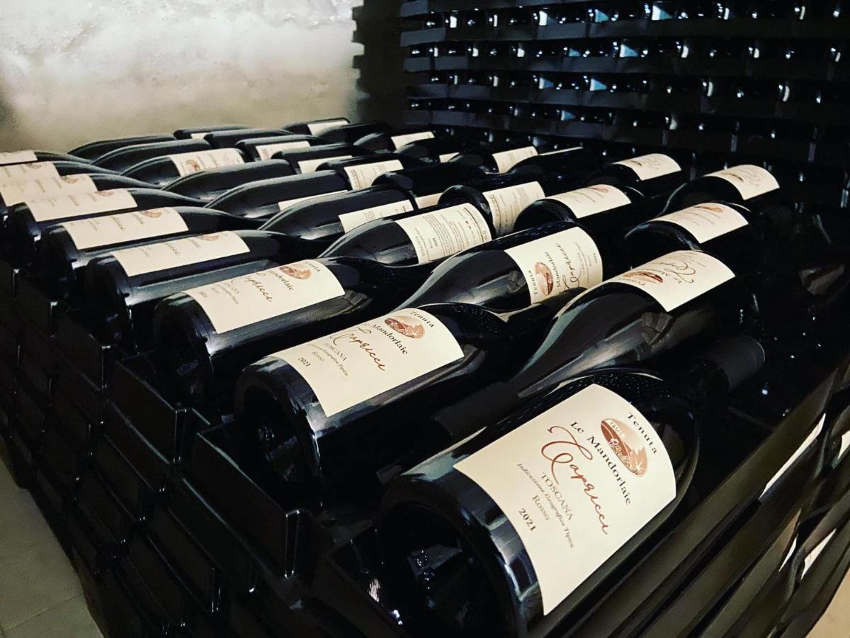 Tenuta Le Mandorlaie, Agriturismo In Scansano Kültér fotó