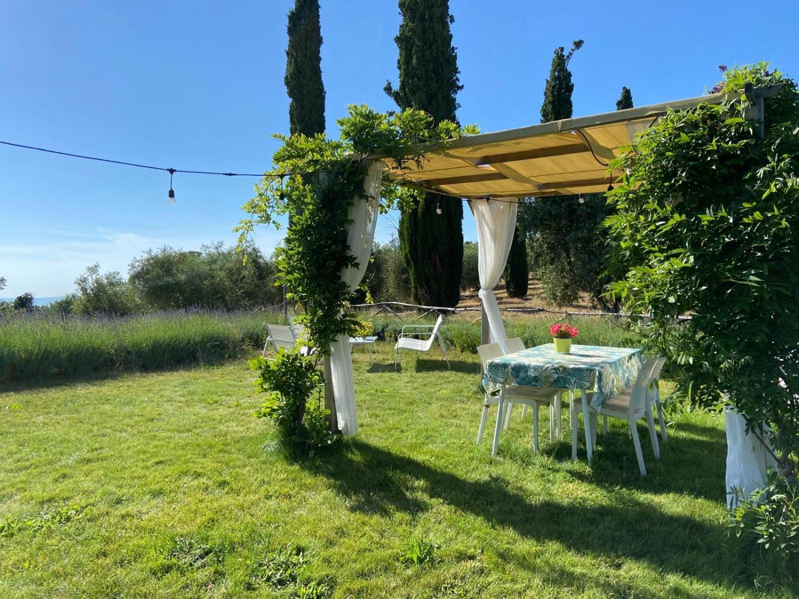 Tenuta Le Mandorlaie, Agriturismo In Scansano Kültér fotó