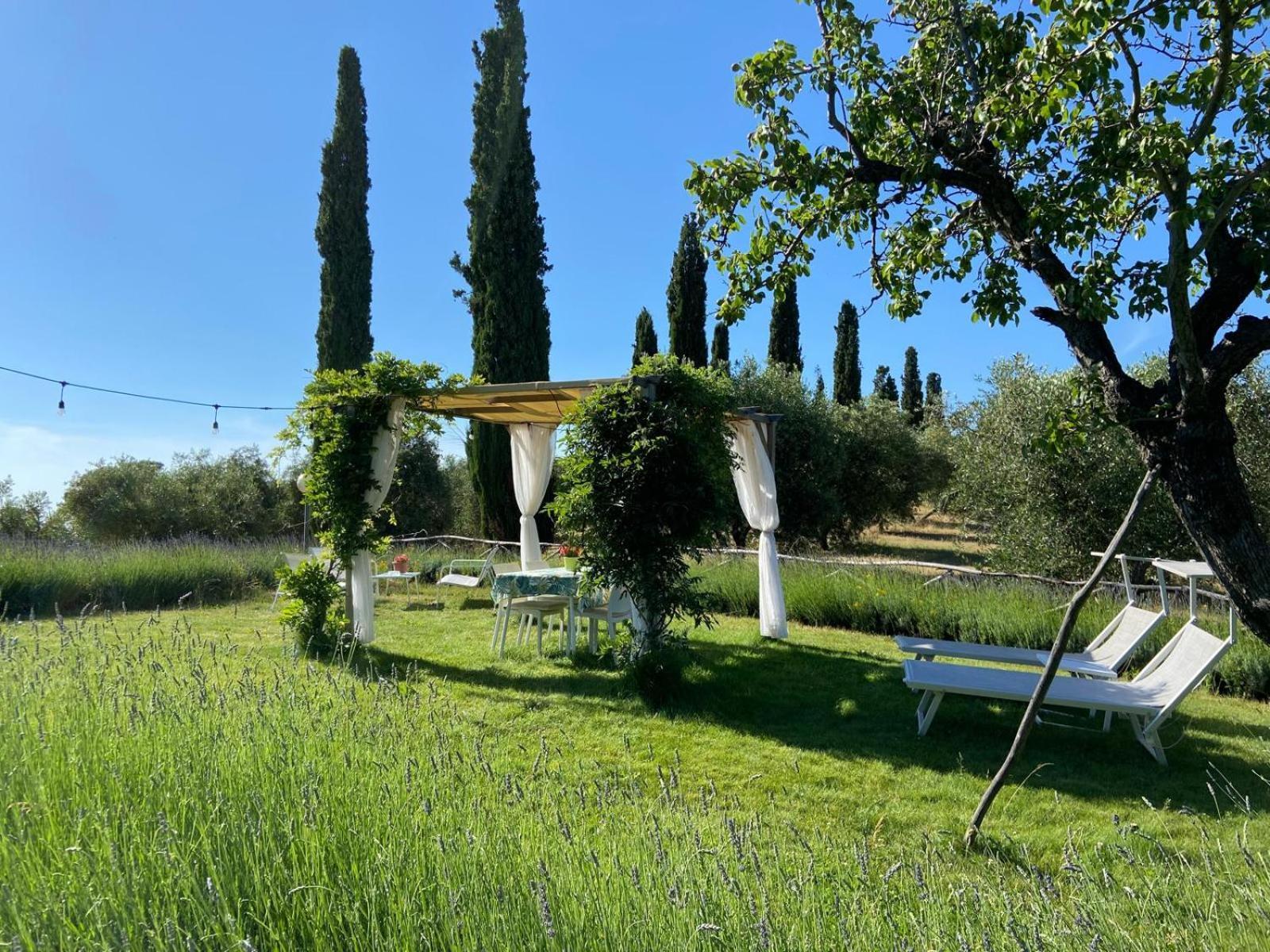 Tenuta Le Mandorlaie, Agriturismo In Scansano Kültér fotó
