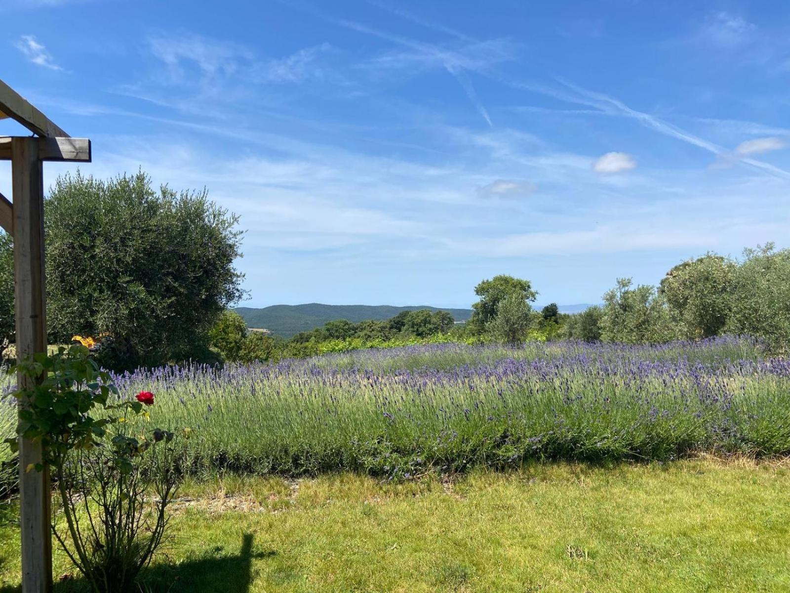 Tenuta Le Mandorlaie, Agriturismo In Scansano Kültér fotó