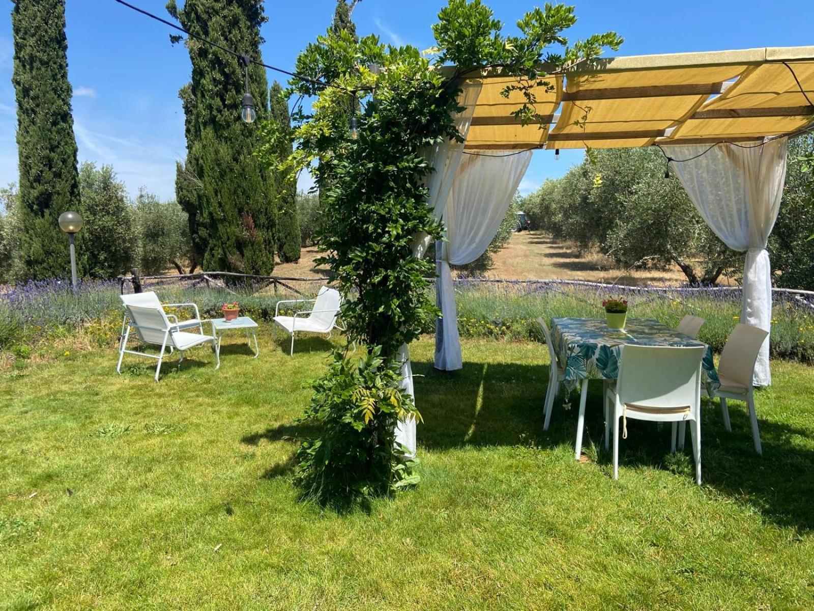 Tenuta Le Mandorlaie, Agriturismo In Scansano Kültér fotó