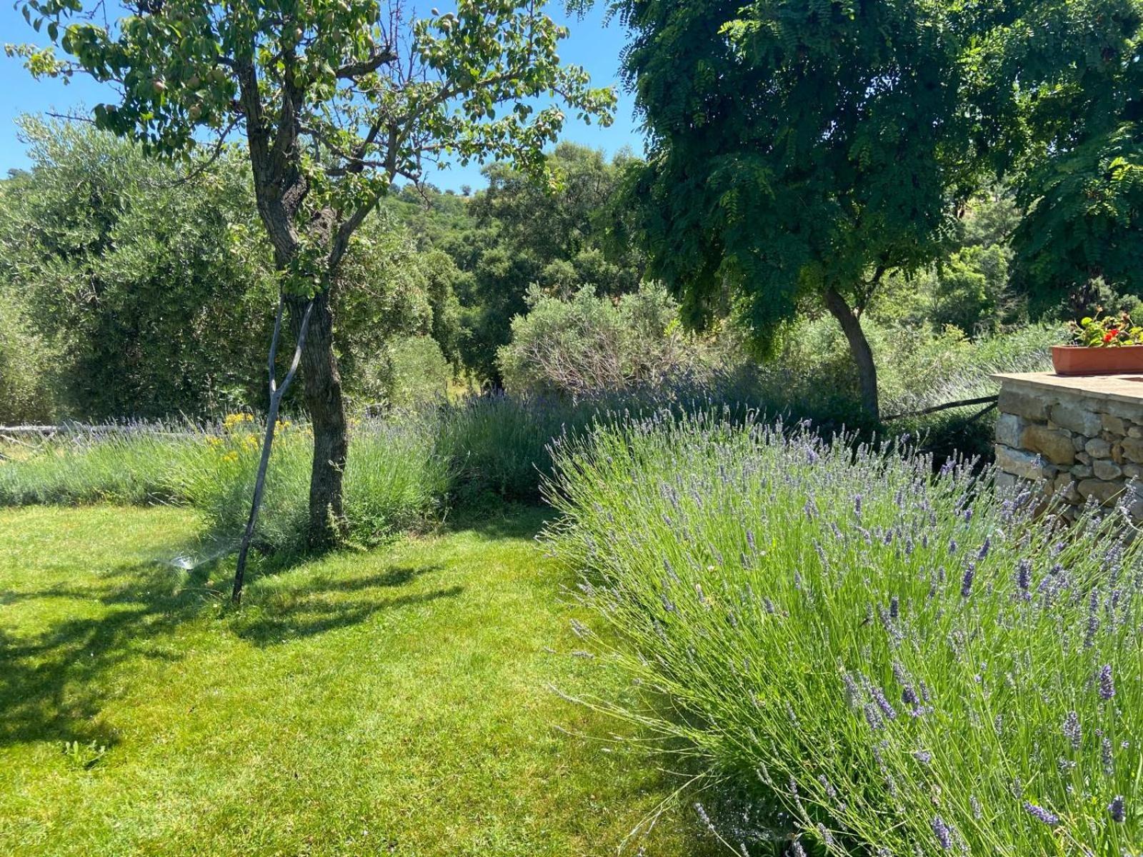 Tenuta Le Mandorlaie, Agriturismo In Scansano Kültér fotó