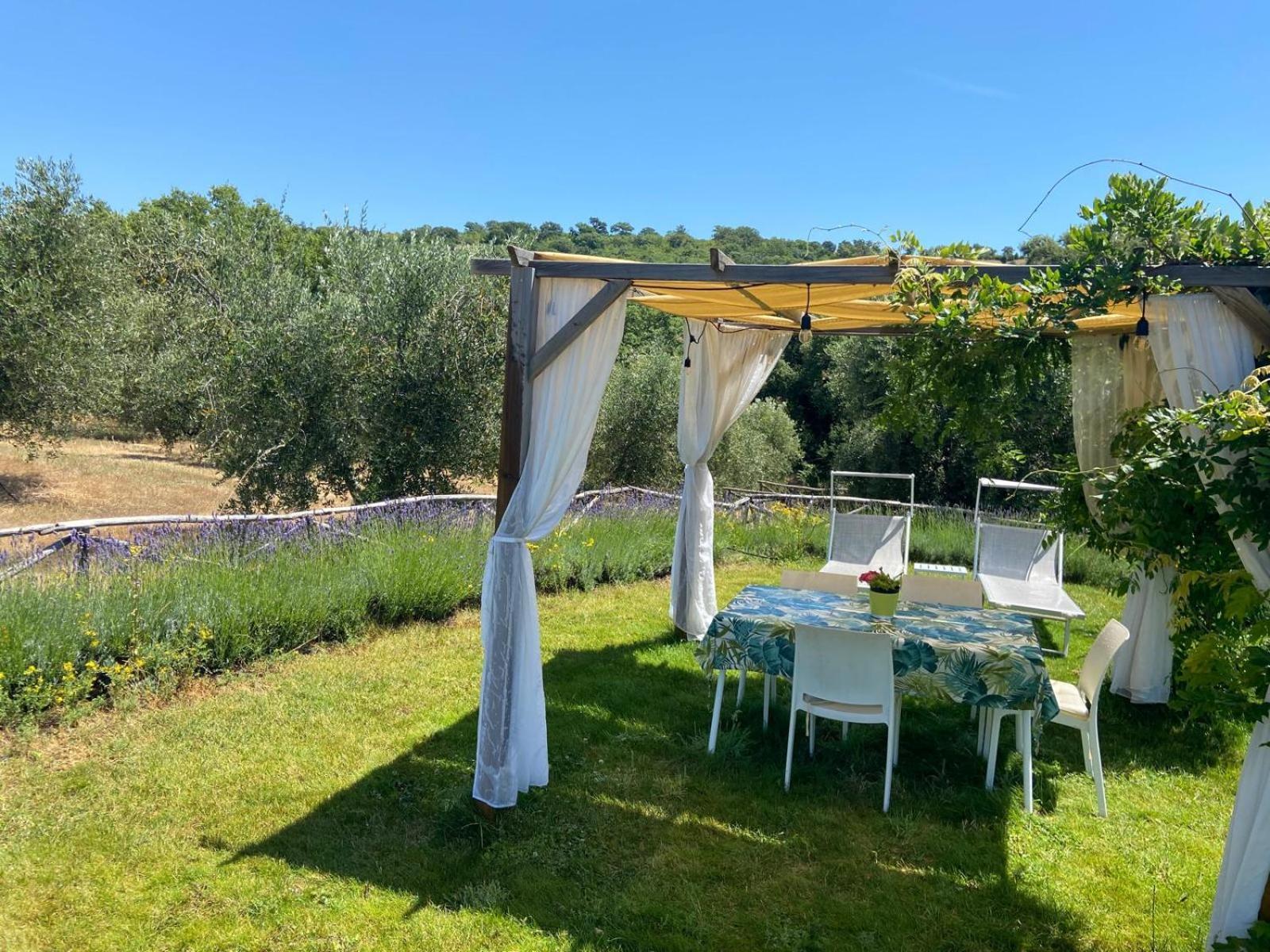 Tenuta Le Mandorlaie, Agriturismo In Scansano Kültér fotó