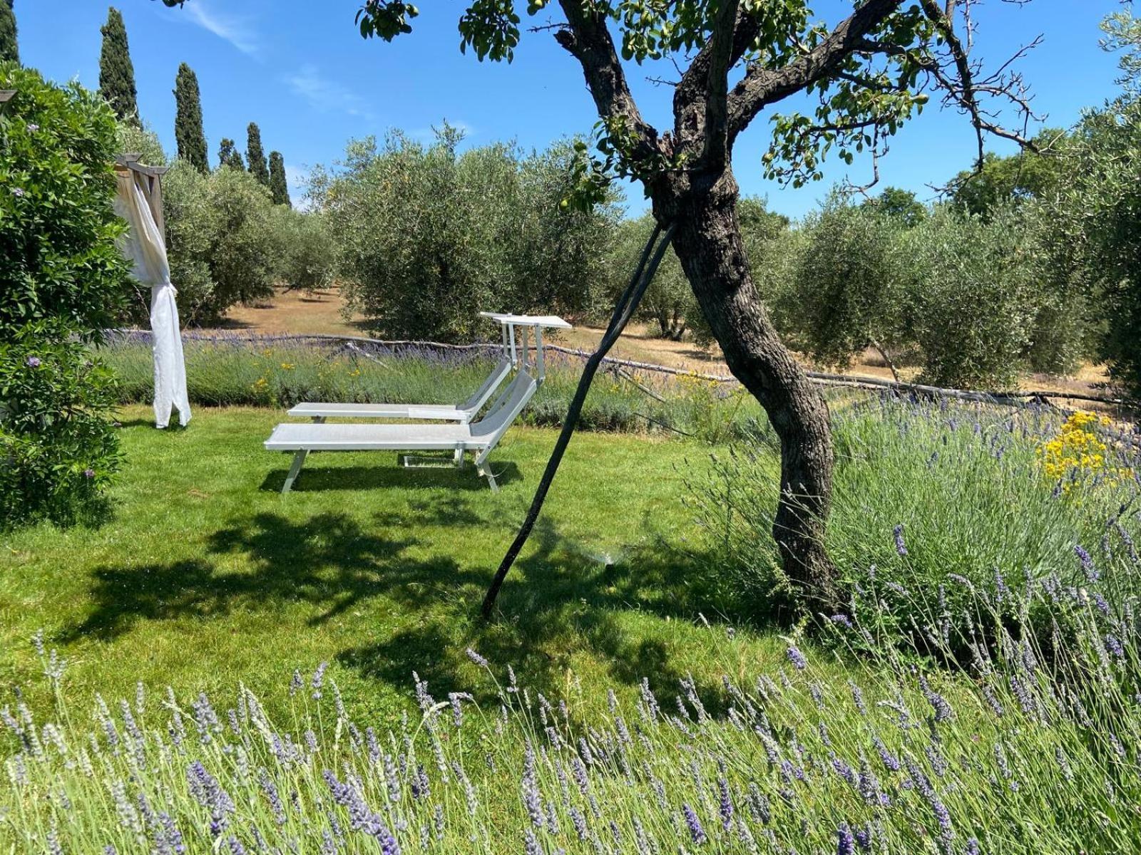 Tenuta Le Mandorlaie, Agriturismo In Scansano Kültér fotó